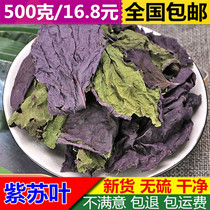 Selected Perilla Leaf 500g Perilla Leaf Fresh Edible Perilla Leaf Dried Purple Chinese Medicinal Soy Leaf Powder