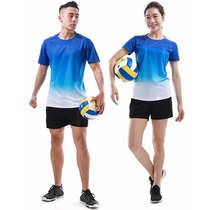 New product Shang Li Ningkai volleyball suit suit Team uniform Female group purchase student match training suit Male badminton sportswear