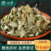 Apocynum leaf 500g g Xinjiang Apocynum Apocynum Venetum Chinese herbal medicine