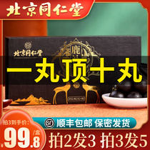 Beijing Tong Ren Tang mens pill cream men take official website to make up the body ginseng health products Deer whip mens kidney tablets