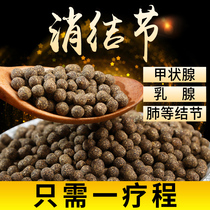 Thyroid nodules lung nodules dissipation of tea ground glass nodule hyperplasia breast dandelion Prunella vulgaris traditional Chinese medicine