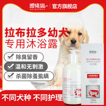 Labrador white-haired puppies special shower gel sterilization deodorization and itching dog bath products shampoo bath liquid