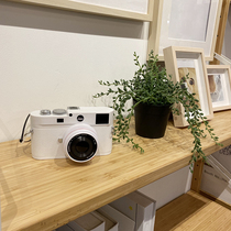 Leica camera model photo studio childrens wedding photography theme props model room study ornaments simulation decorations
