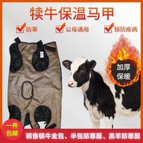 Newborn calf animal coat insulation vest breeding equipment accessories Daquan calf insulation vest warm clothes