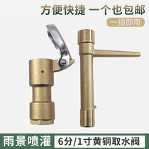 6 Points Brass Fast Water Intake Valve Stem Copper Turquoise Water Fetcher Fetch Valve Key Sprinkler Bolt Garden DN20