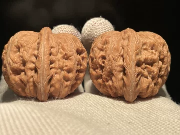 元宝文玩核桃-元宝文玩核桃促销价格、元宝文玩核桃品牌- 淘宝