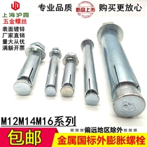 National standard galvanized iron expansion screw extended pull explosion metal explosion bolt M12M14M16*100*200-500