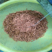 T2 refrigeration copper tube coil round copper tube reticulated copper tube 6 35*0 5 6 35*0 6 brass tube
