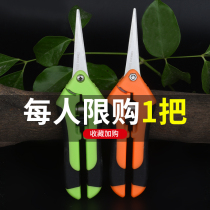 Household scissors tree branch shears handmade small flower tree pruning scissors gardening and labor saving