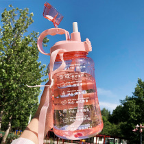 Large capacity water cup female summer portable cute straw kettle summer bottle drinking water target 1500 ml space Cup