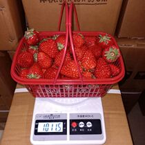  Strawberry basket 2 kg small basket for picking strawberries Plastic 3-5 fruit basket plastic frame Blue storage long
