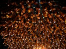 Sichuan Township Little Girl | Sichuan specialty sausage hind leg Bacon Bacon Ribs 2kg
