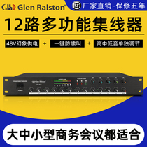 Glen Ralston Grenston Professional 12 Road Mixers Smart Meeting 48V Gooseneck Audio Hub