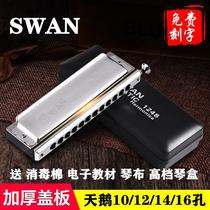 swan swan 10-hole harmonica 16 12-hole C tune adult students beginner Professional Performance Musical instruments