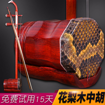  Yizhimu Rosewood Zhonghu Zhonghu musical instruments Learn to play Zhonghu full set of accessories