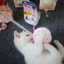 Japanese Doggy Man Doggy Man Cat wool ball three styles optional cat toy Kingman Hundred
