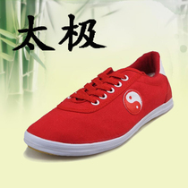 Double star Taiji shoes mens canvas sneakers womens summer breathable martial arts shoes Taijiquan shoes bull tendons