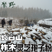 Juye Changbai Mountain Ganoderma lucidum spore powder 250g selenium-rich spore oil oak base direct sales