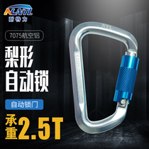 Naiteli manufacturers can customize D-type automatic lock main lock safety buckle Aerial work pear-shaped hook mountaineering quick hanging buckle