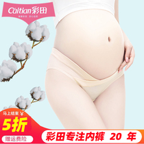 Colour field pregnant womens underpants Summer slim summer slim large code pure cotton antibacterial low waist toabdominal gestation Early pregnancy mid-stage