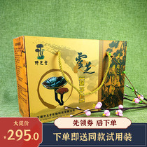 Anhui health Road Ganoderma lucidum spore powder 500g first-class gift box Yezhitang Ganoderma lucidum powder 21 new date