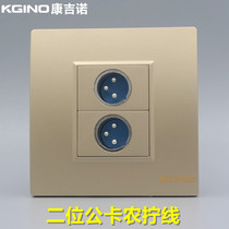 Champagne Gold Type 86 Two-digit Cannon Socket Golden Female Head Cannon Socket Microphone Big Three-Core Multimedia Panel
