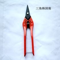 New Korea Nova triangle head thickened industrial DIY jewelry chain tin fruit branch scissors