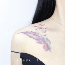 She painted feathers clavicle antique tattoo stickers color sexy pattern covering scar waterproof female long-lasting belly