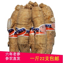 Changbai Mountain American ginseng pruning section 500 grams selected Flower Flag Ginseng section large special grade ginseng section sliced powder New