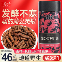 Dandelion root black tea fermented Changbai Mountain pass wild whole root Huahualang female breast milk grass