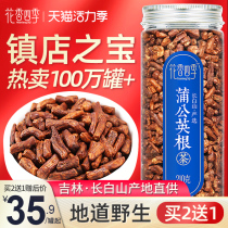 Changbaishan wild Dandelion root tea flagship store Gu Gu Ding tea root pure dry fried not special grade tea