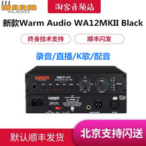 Warm Audio WA12 MKII second-generation microphone amplifier anchor live song recording studio