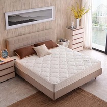 Nature Whole Mountain Palm Mattress High-end Series Heads of the same All Mountain Brown Boutique Head Silk Mood