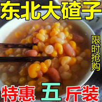 Northeast Dazi 5kg of stupid ballast Heilongjiang farmers self-produced non-genetically modified coarse grain corn ballast porridge raw material
