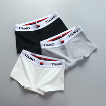 3 Womens Flat corner solid color cotton underwear les handsome t middle waist wide side size sports breathable four corner shorts
