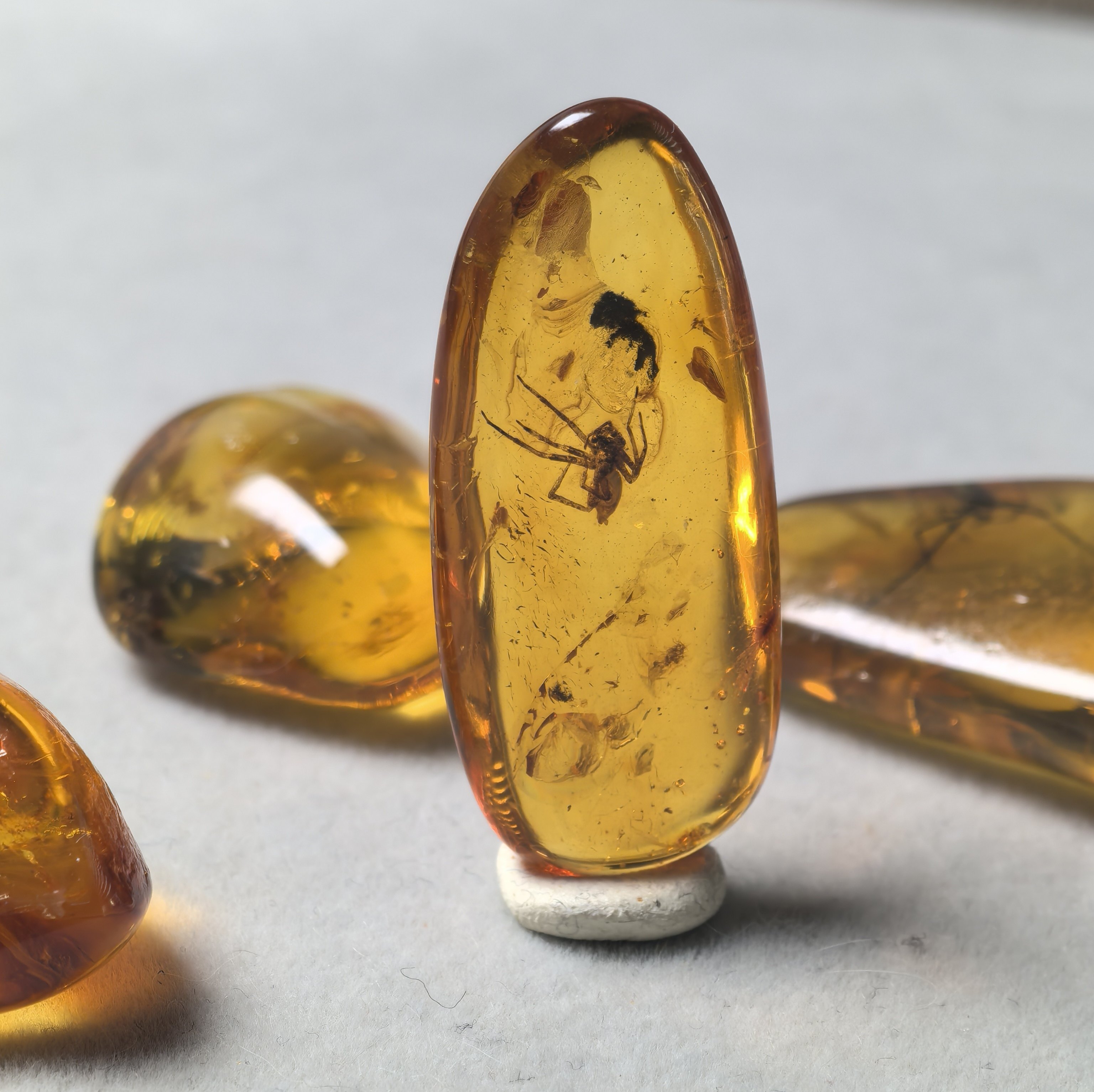 天然琥珀化石-天然琥珀化石促销价格、天然琥珀化石品牌- 淘宝