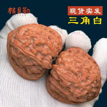 文玩核桃 三角白獅子 三角白狮子核桃-三角白狮子核桃促销价格、三角白狮子核桃品牌- 淘宝
