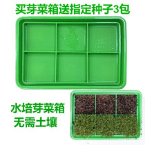 Whole food diary Hydroponic sprouts box sprouts seedling cultivation incubator purple cabbage broccoli seed seedlings