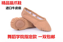 Special new camel soft shoes ballet shoes camel cat claw shoes camel dance shoes