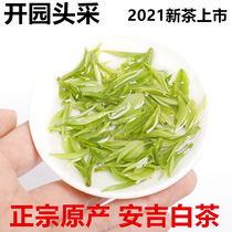 2021 new tea listed authentic Anji white tea open garden head 50g test drink Alpine green tea Yuzi Heng Orchid fragrance