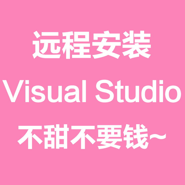 visual studio vs 2005 2008 2010 2013 2015 2017 9 software Remote Installation