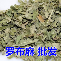 3 apocynum leaves 3 pieces of apocynum in Xinjiang origin tea Chinese herbal medicine 500g