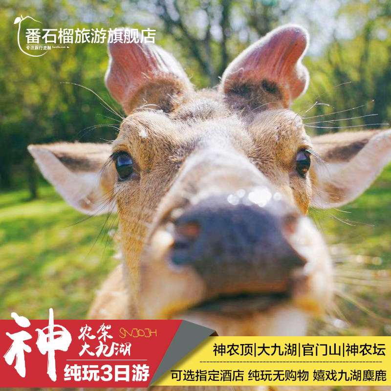 神农架3日游怎么安排？武汉周边纯玩跟团游攻略全解析-旅行团-淘宝好物网