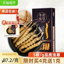 (Buy four get one free)Cordyceps sinensis dry goods 5 grams 1g flagship store Fenaqu gift box tea wine