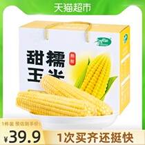 October Rice field white glutinous corn Fresh fragrant glutinous quick-cooked vacuum season new large corn cob 1 76kg