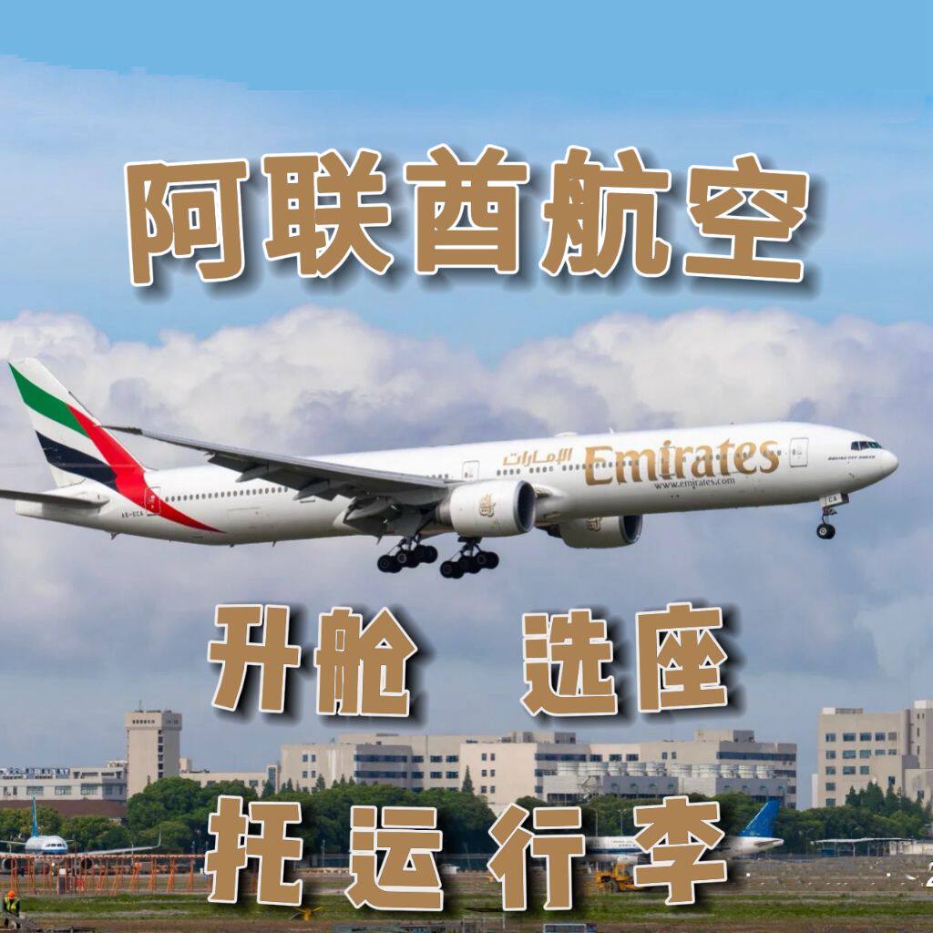 日本航空升舱-日本航空升舱促销价格、日本航空升舱品牌- 淘宝