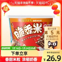 Dove Crispy Rice Milk Sandwich Chocolate 216g Independent Packaging New Year's Food Children's Leisure Snacks Candy