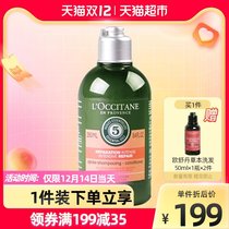 Oshu Dan 5 in 1 Herbal Pure Repair Conditioner 250ml Nourish Bright Hair No Silicone Oil Repair Fry