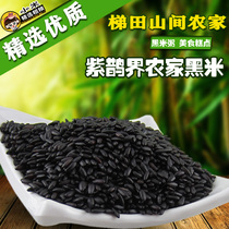 Purple Magpie industry high quality black rice 500g black glutinous rice grains coarse grains can be matched with black sesame Medlar