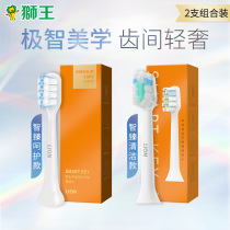 Lion King magnetic levitation electric toothbrush replacement brush head cleaning care SMARTKEY Japan soft hair Sonic rechargeable